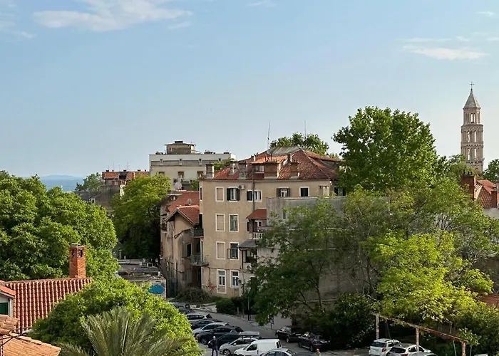 Iris Oasis