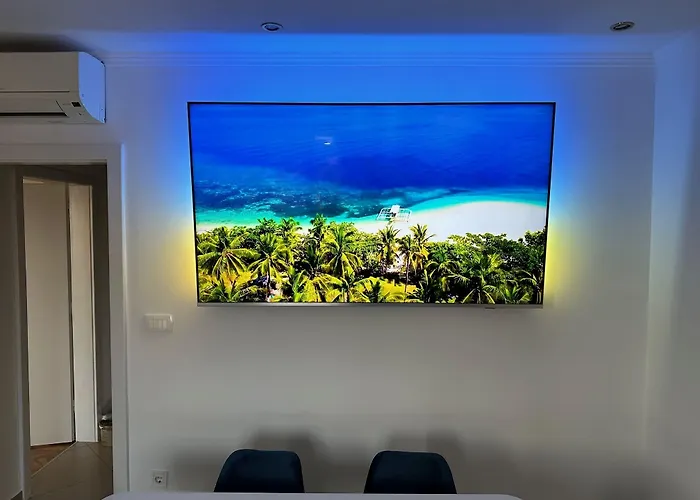 Iris Oasis *